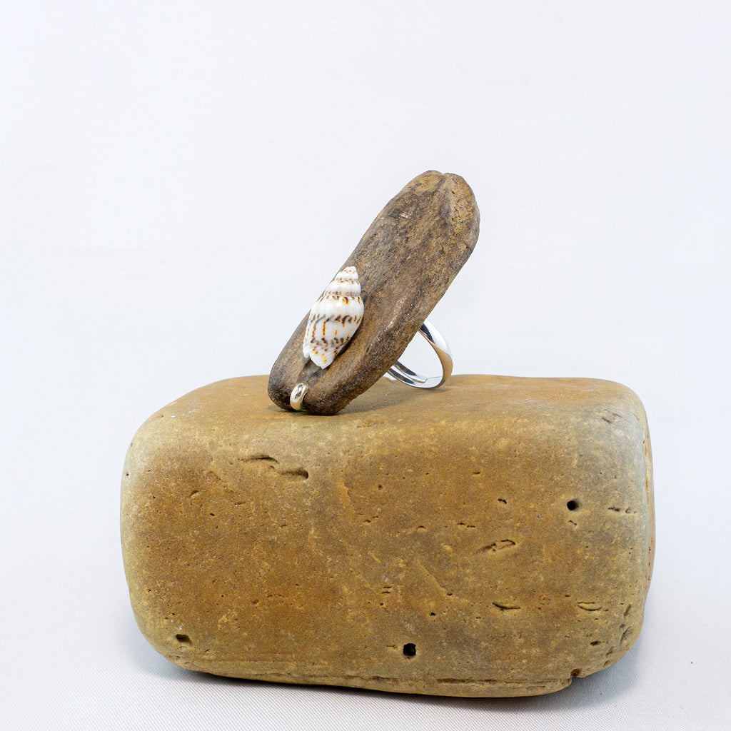 925 Silver Adjustable Ring - Unique Driftwood Jewelry STIAN with Shell