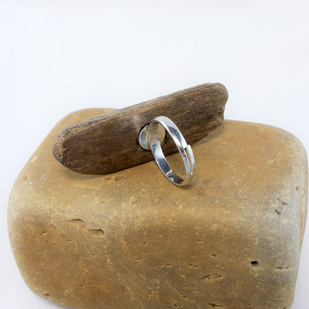 925 Silver Adjustable Ring - Unique Driftwood Jewelry STIAN with Shell