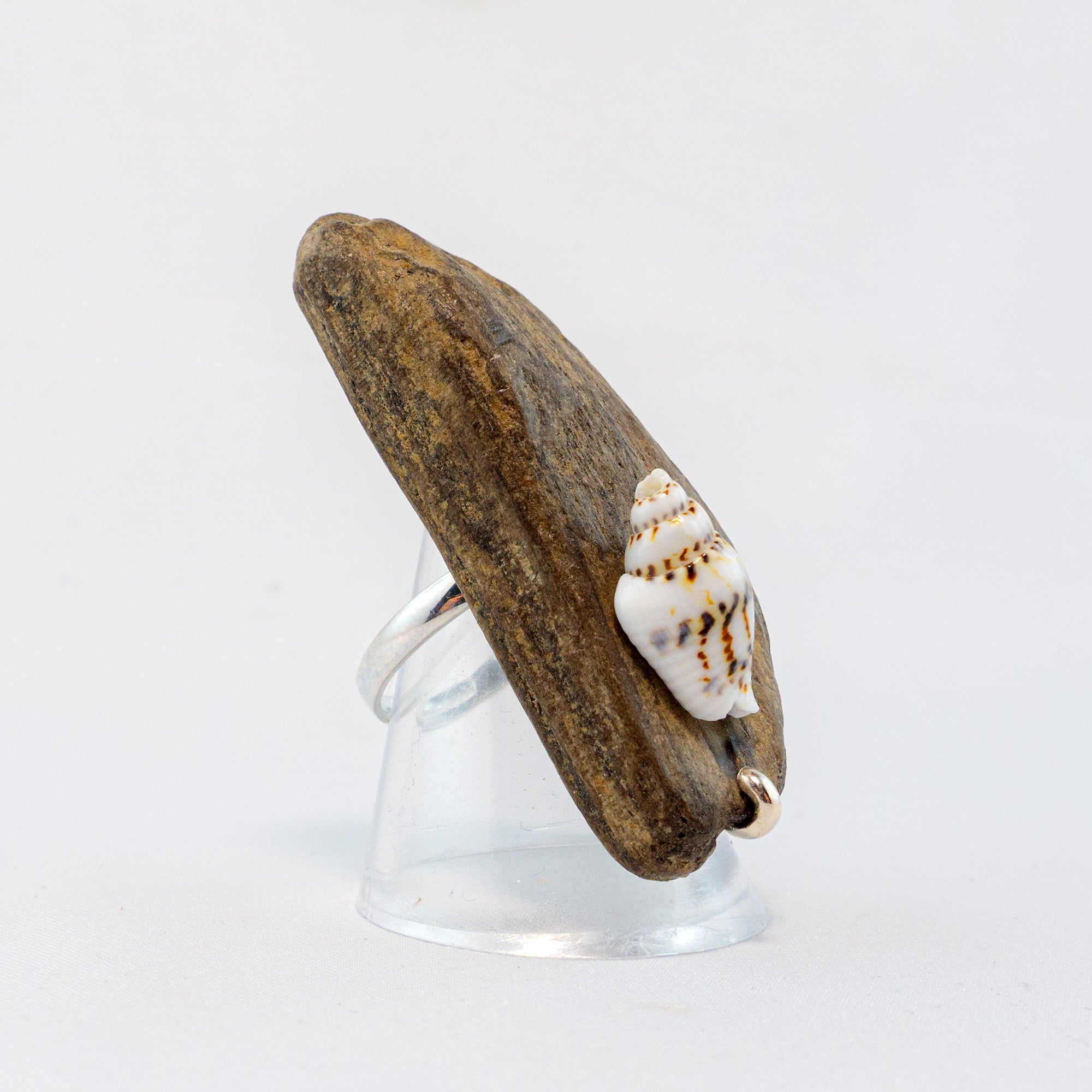 925 Silver Adjustable Ring - Unique Driftwood Jewelry STIAN with Shell