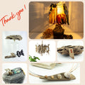 StoneSoftArt Gift Cards THANK YOU! value of USD 10 / 25 / 50 / 100