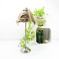 Unique DRIFTWOOD TABLE LAMP 'Edda' with metal foot by StoneSoftArt