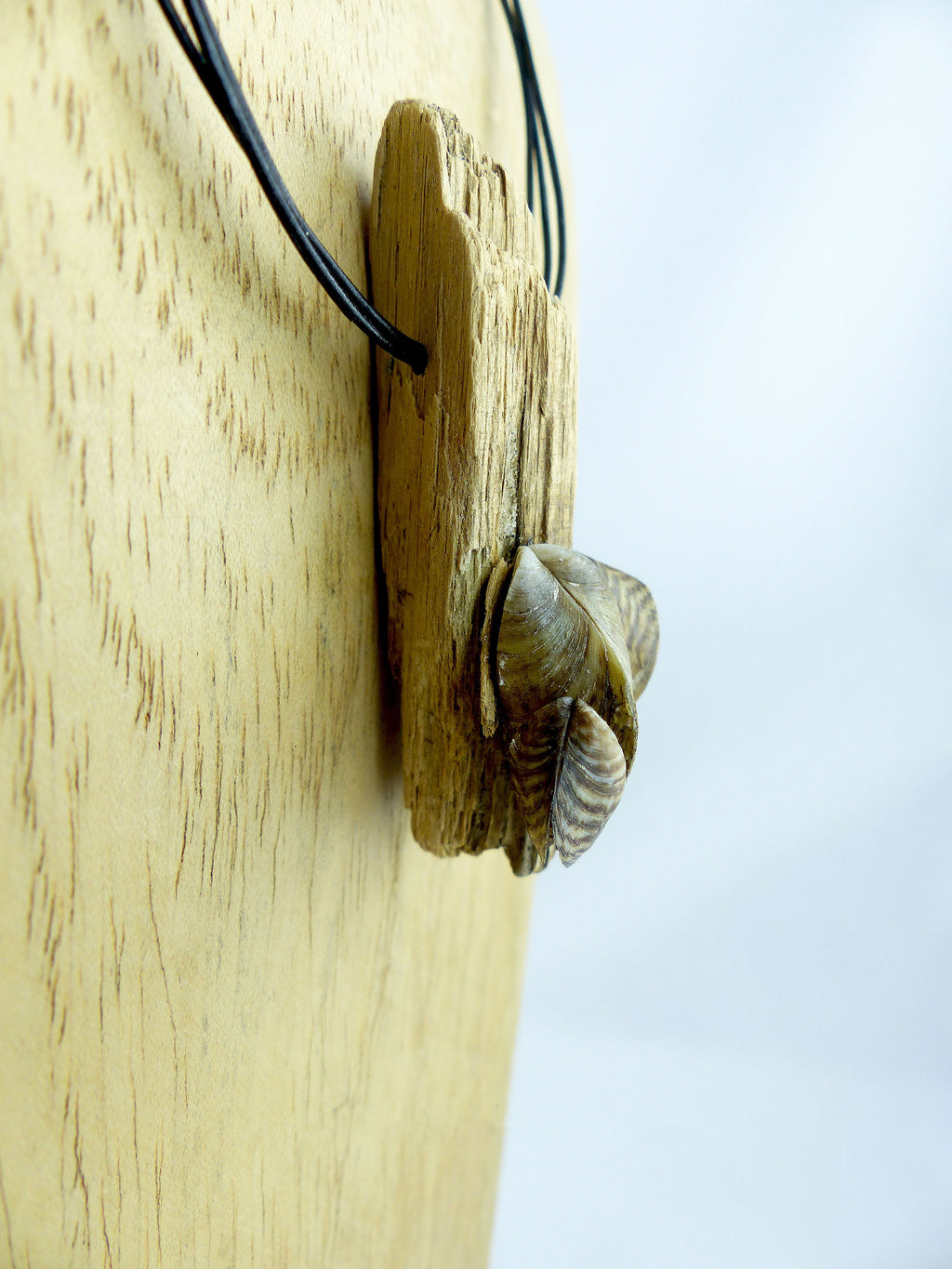 DRIFTWOOD seashell leather NECKLACE 'Poel', sustainable handmade jewelry