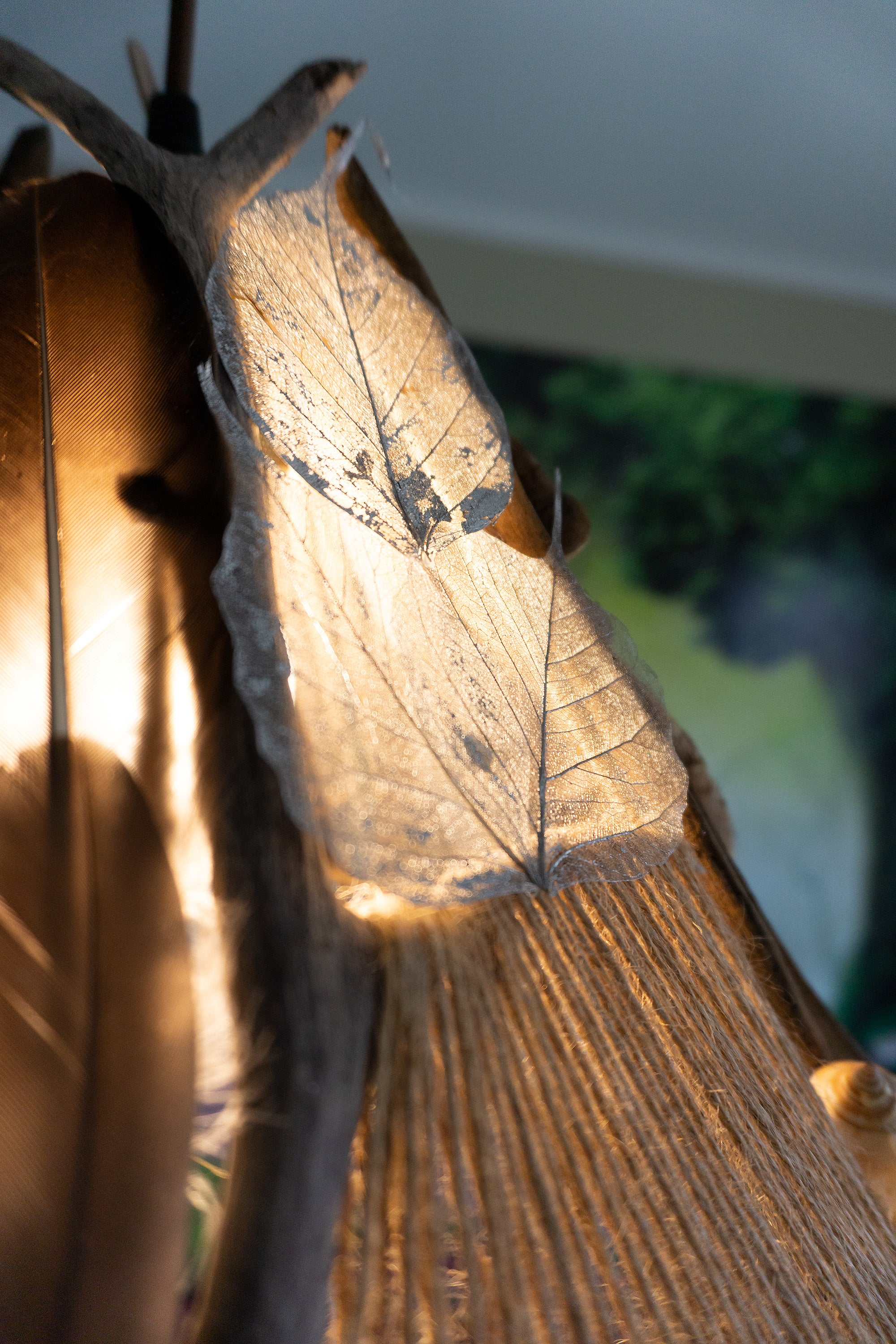 One-of-a-kind DRIFTWOOD PENDANT LIGHT 'Tallin', hand-crafted ceiling lamp