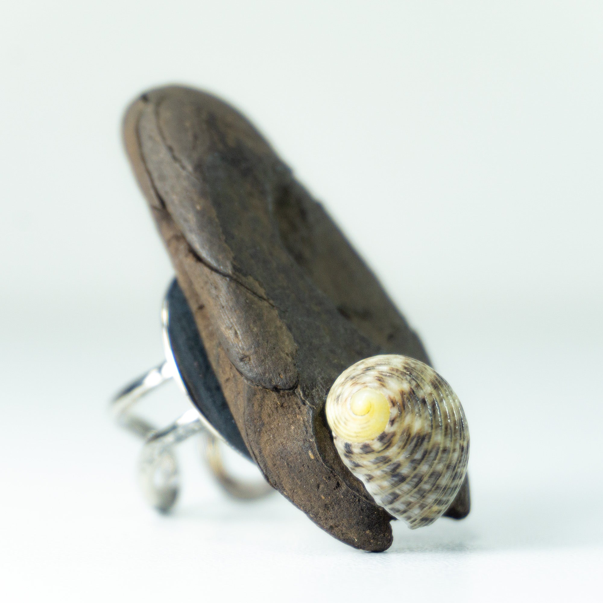 Adjustable Silver DRIFTWOOD RING THOR with seashell, handmade one-of-a-kind