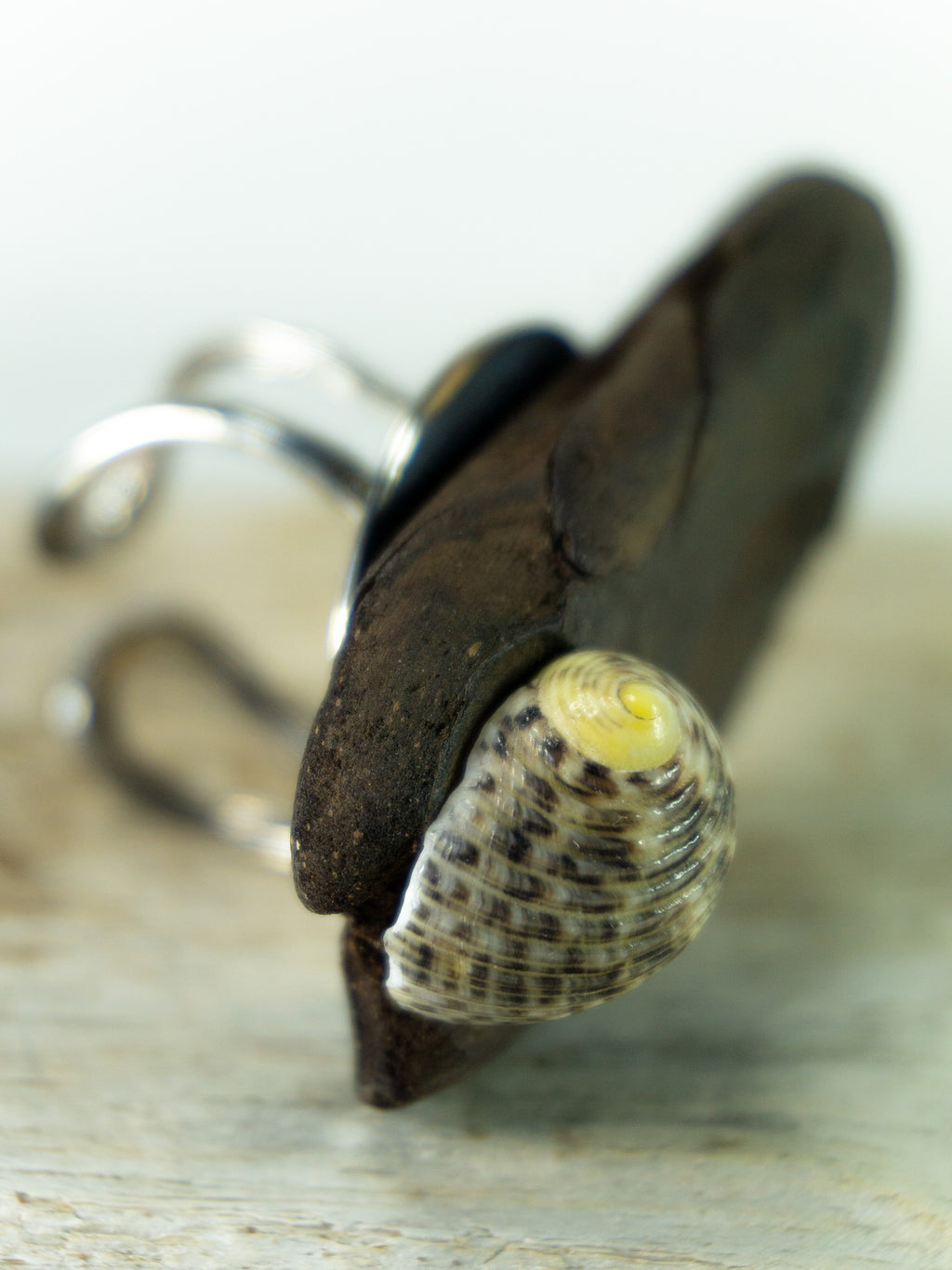 Adjustable Silver DRIFTWOOD RING THOR with seashell, handmade one-of-a-kind