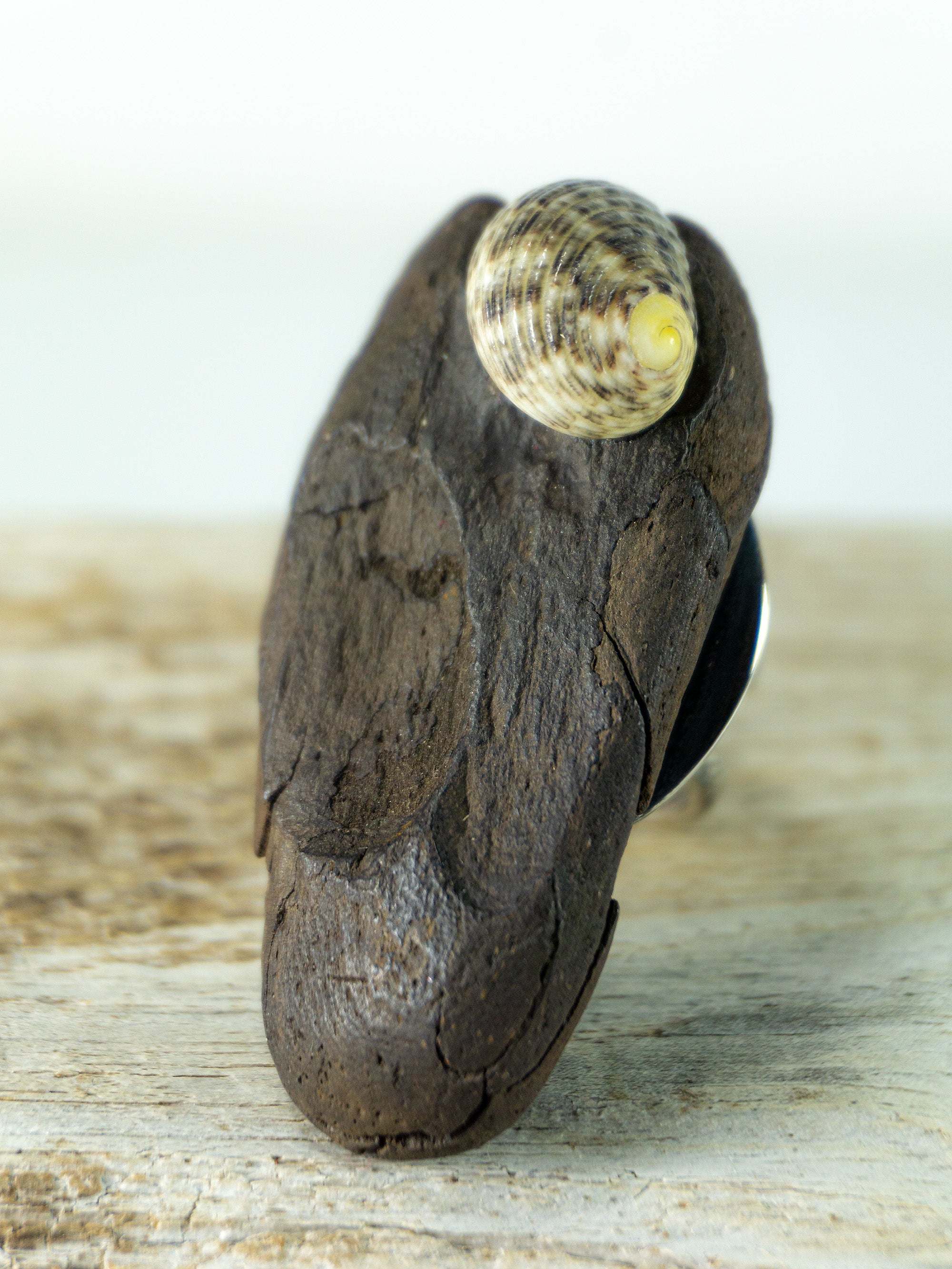 Adjustable Silver DRIFTWOOD RING THOR with seashell, handmade one-of-a-kind