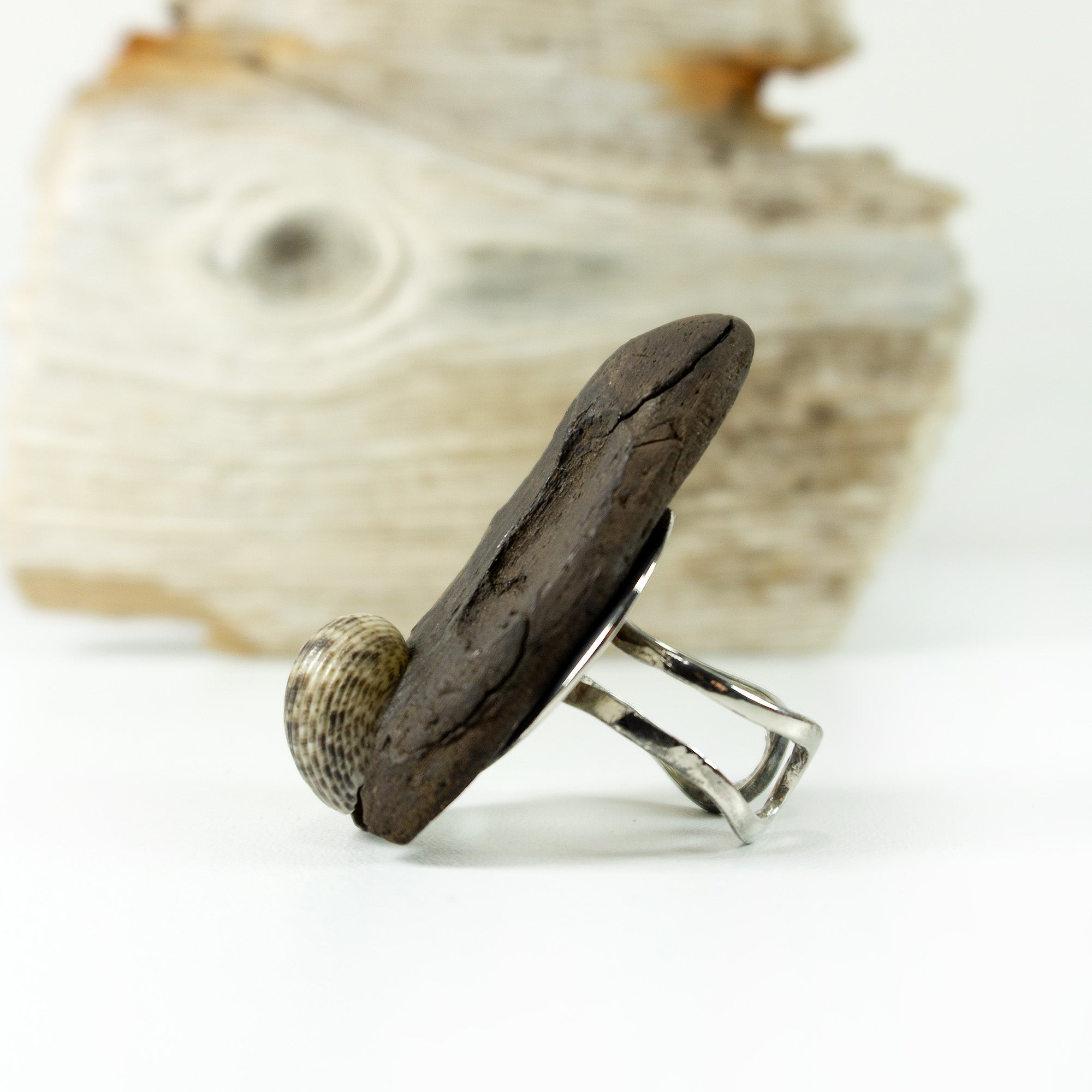 Adjustable Silver DRIFTWOOD RING THOR with seashell, handmade one-of-a-kind