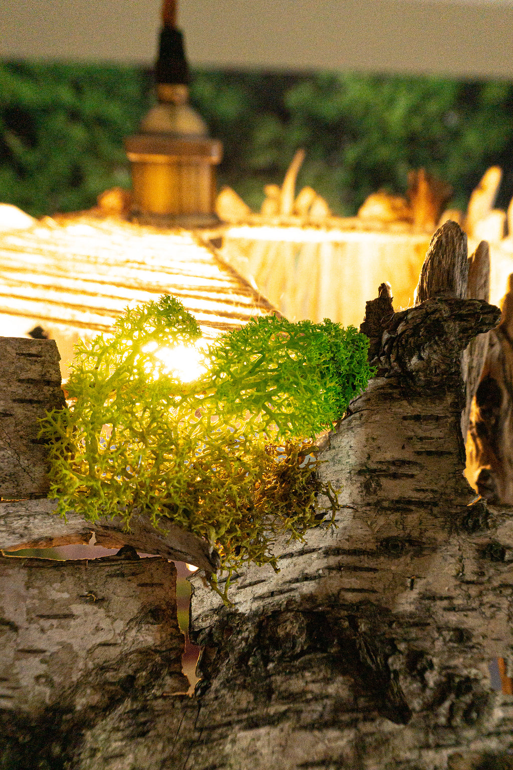 Unique DRIFTWOOD PENDANT LIGHT 'Aarhus', hand-crafted sustainable ceiling lamp