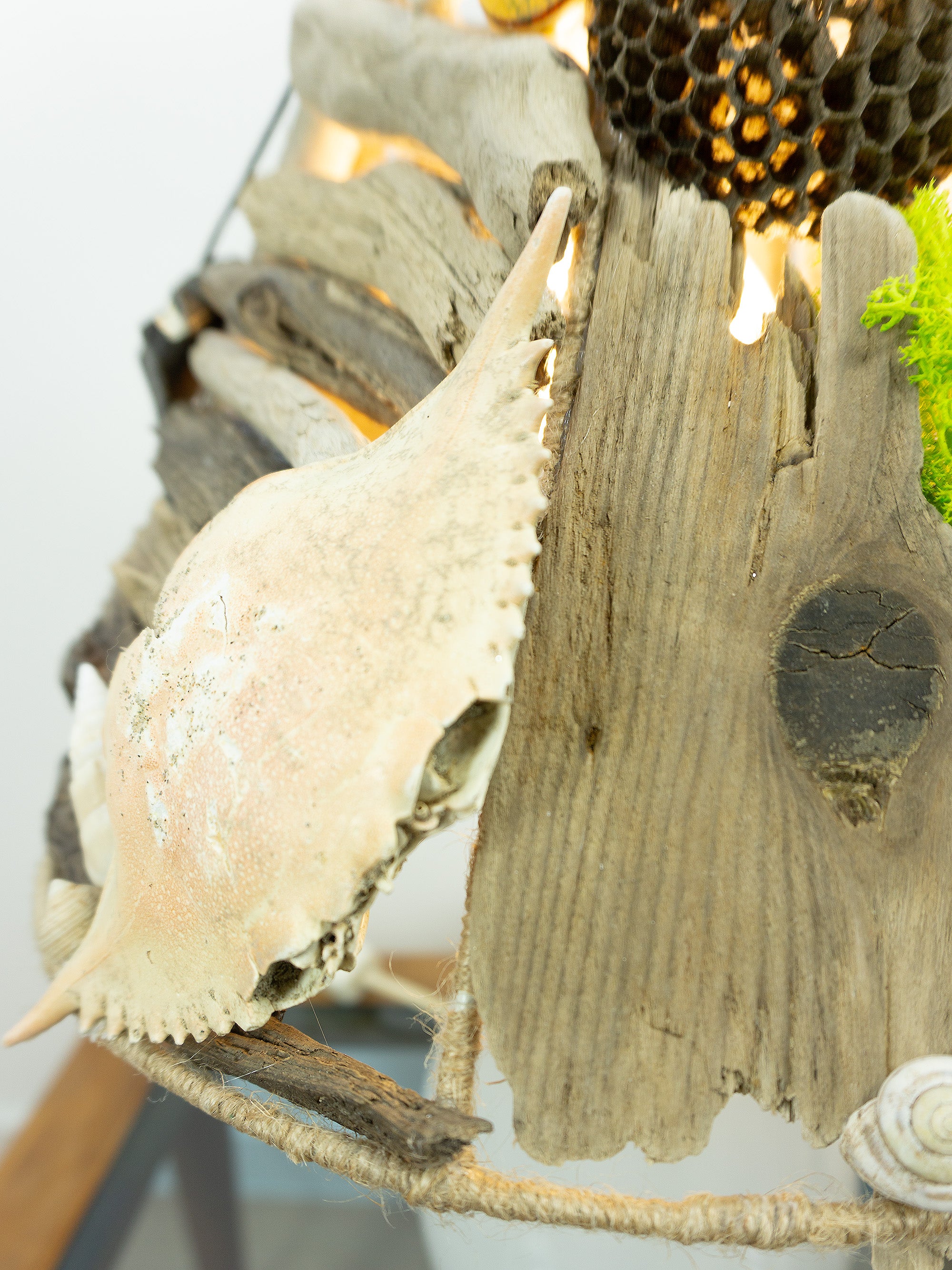 ALVA Handcrafted Driftwood Accent Lamp – White Ceramic Table Light