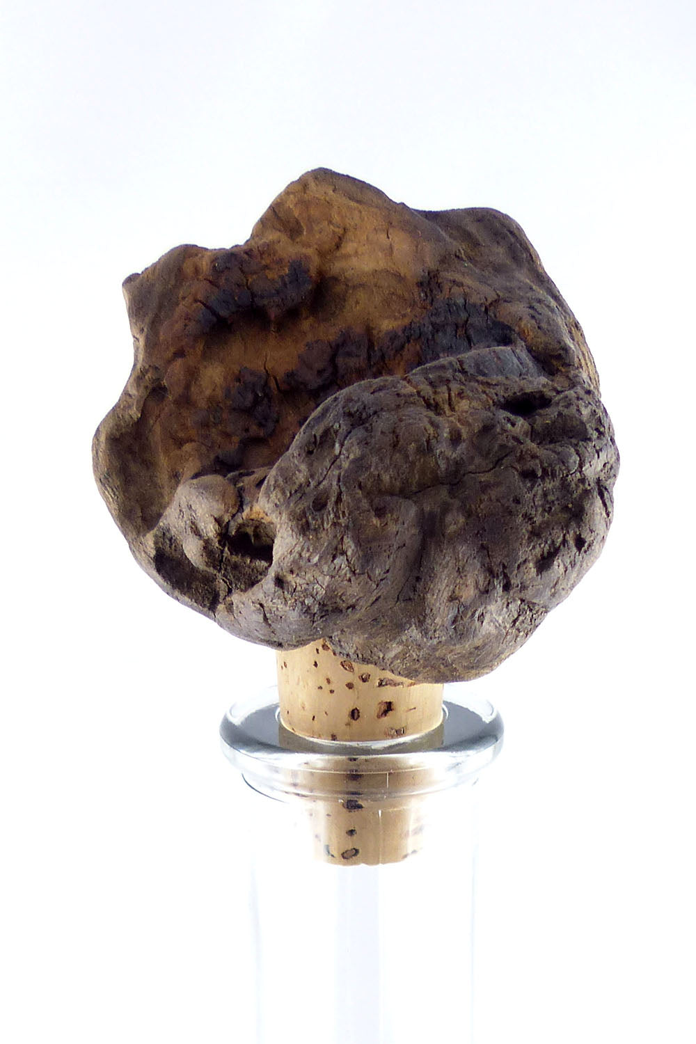 Wine BOTTLE CORK #11 with DRIFTWOOD handle, handcrafted eco friendly gift