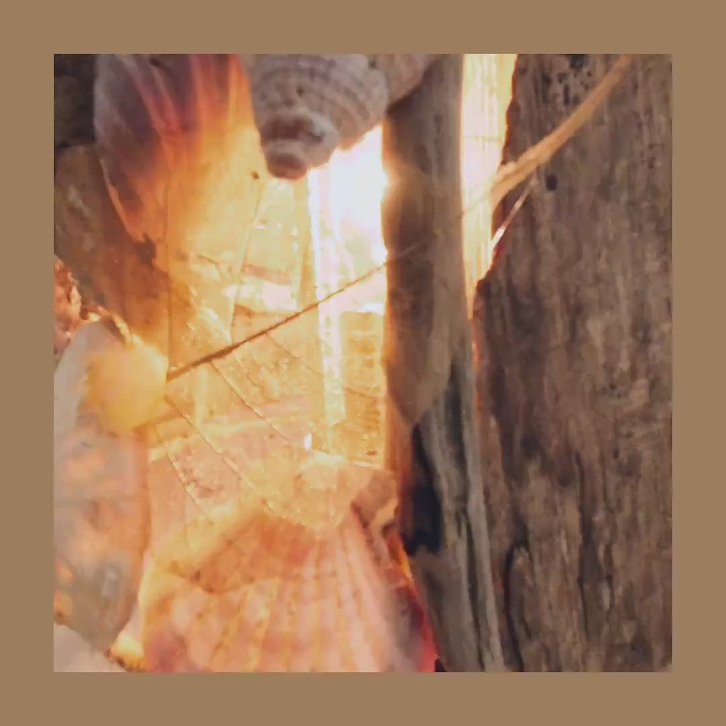 XXL DRIFTWOOD Table LAMP 'Smilla' with 1970s Danish midcentury ceramic design base, hand-crafted rustic wooden light by StoneSoftArt