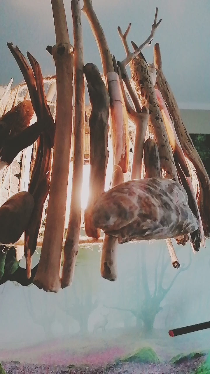 Unique DRIFTWOOD PENDANT LIGHT 'Stockholm', hand-crafted ceiling lamp